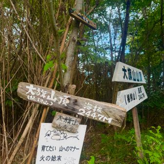 大旗山ピーク