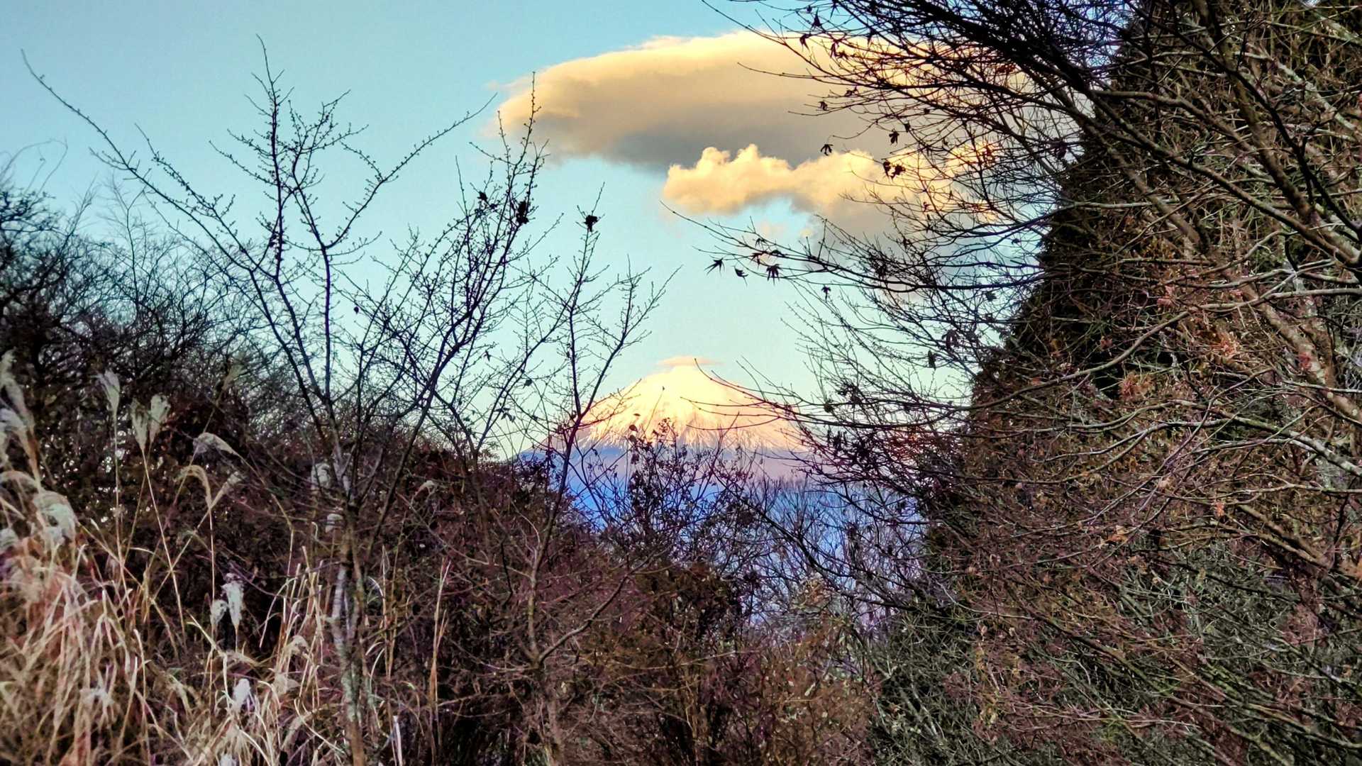 駐車場から少し歩くと富士山🗻