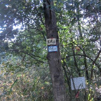 耳成山山頂へ。