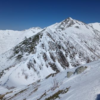 後は島田娘を残すのみ。だけど、あんなに尖ってたっけ？😨