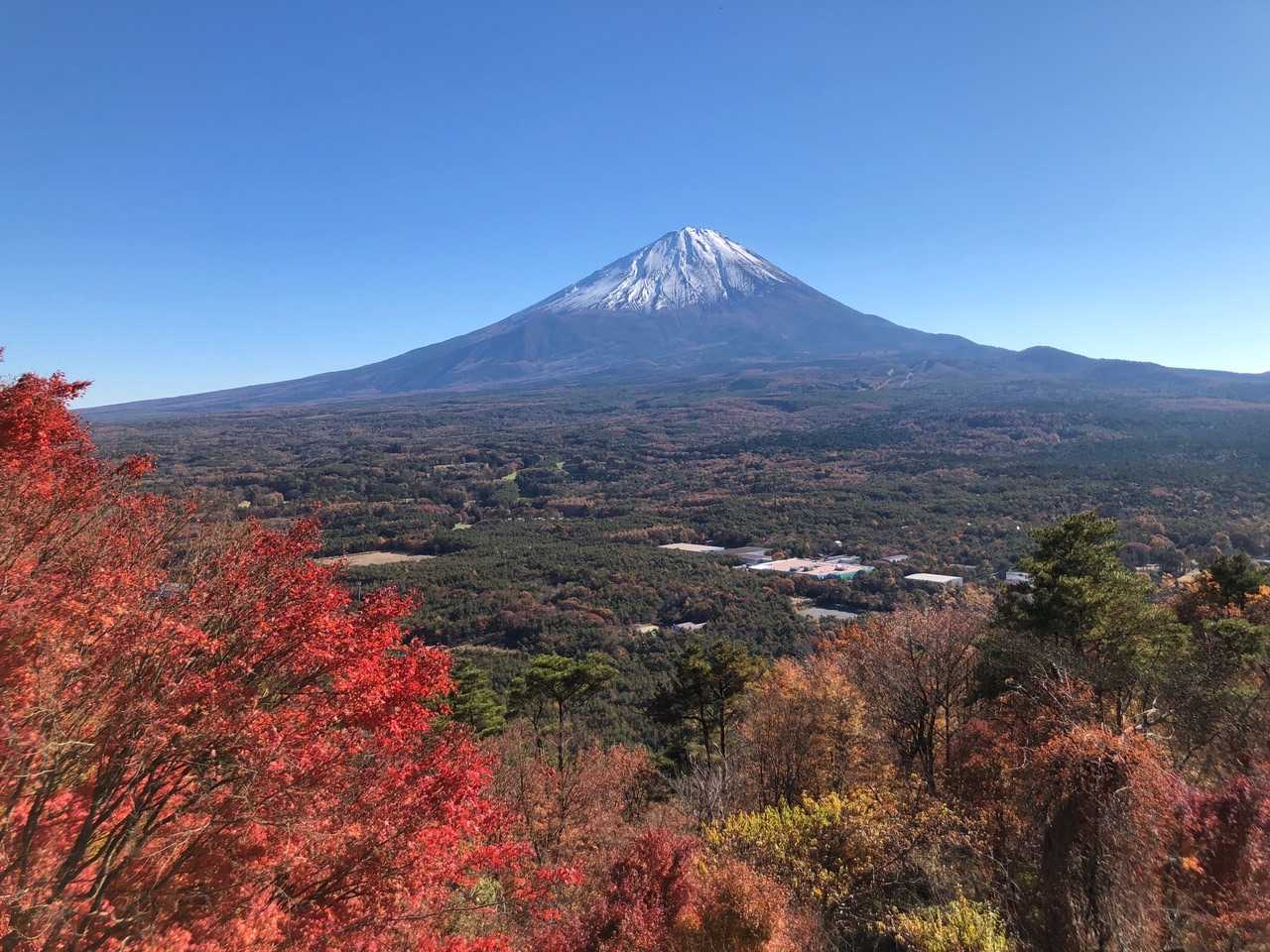 紅葉台展望台