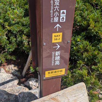 ここを登れば帰れるけど　ここまで来たので