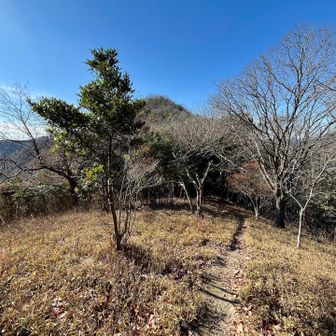 名山っぽいロード✨に見えちゃう