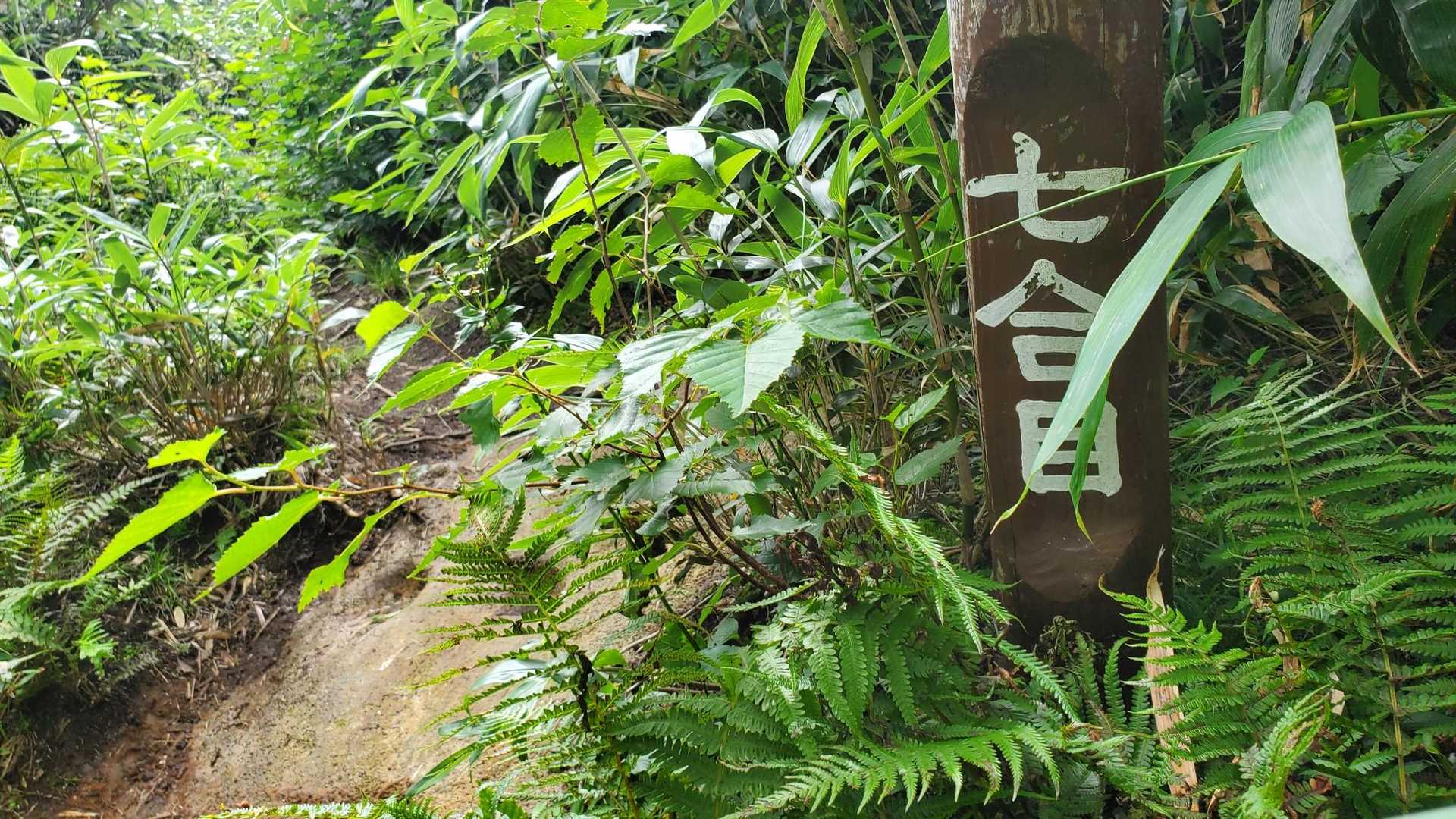 七合目。
ここまで、一合登るのに20分で来てます。疲れているのに、なかなかよいペース。