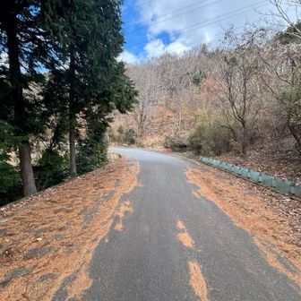 登山口まで歩きます