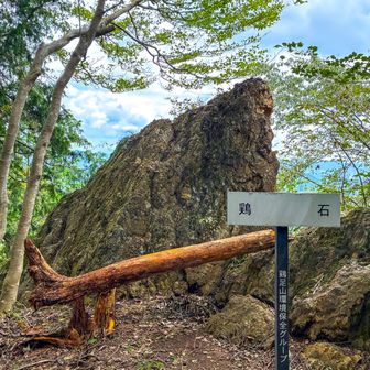 
トレーニングの為
鶏足山・焼森山へ登りました。
（バテてショートカットで下山😅）