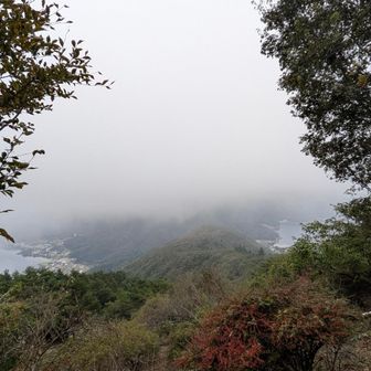 河口湖と西湖が見える