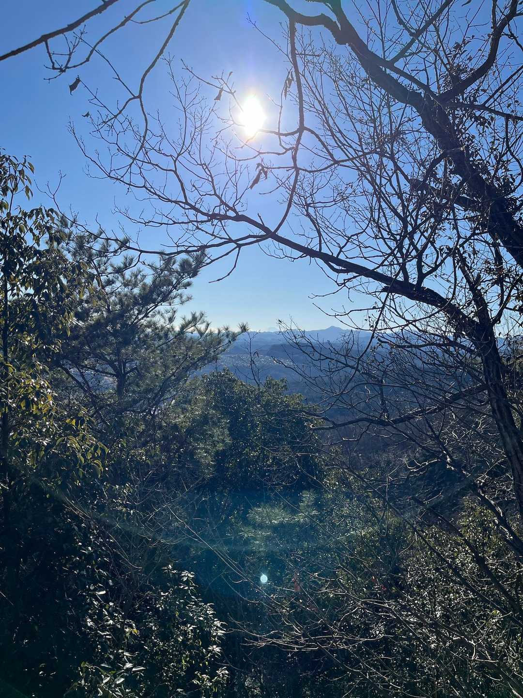 富士山がうっすら見えました
