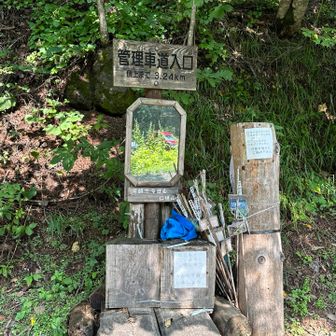 元気に笑顔で