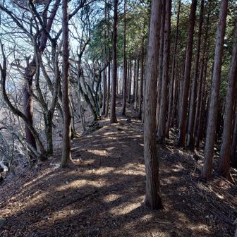 柏原ノ頭に向かいます。