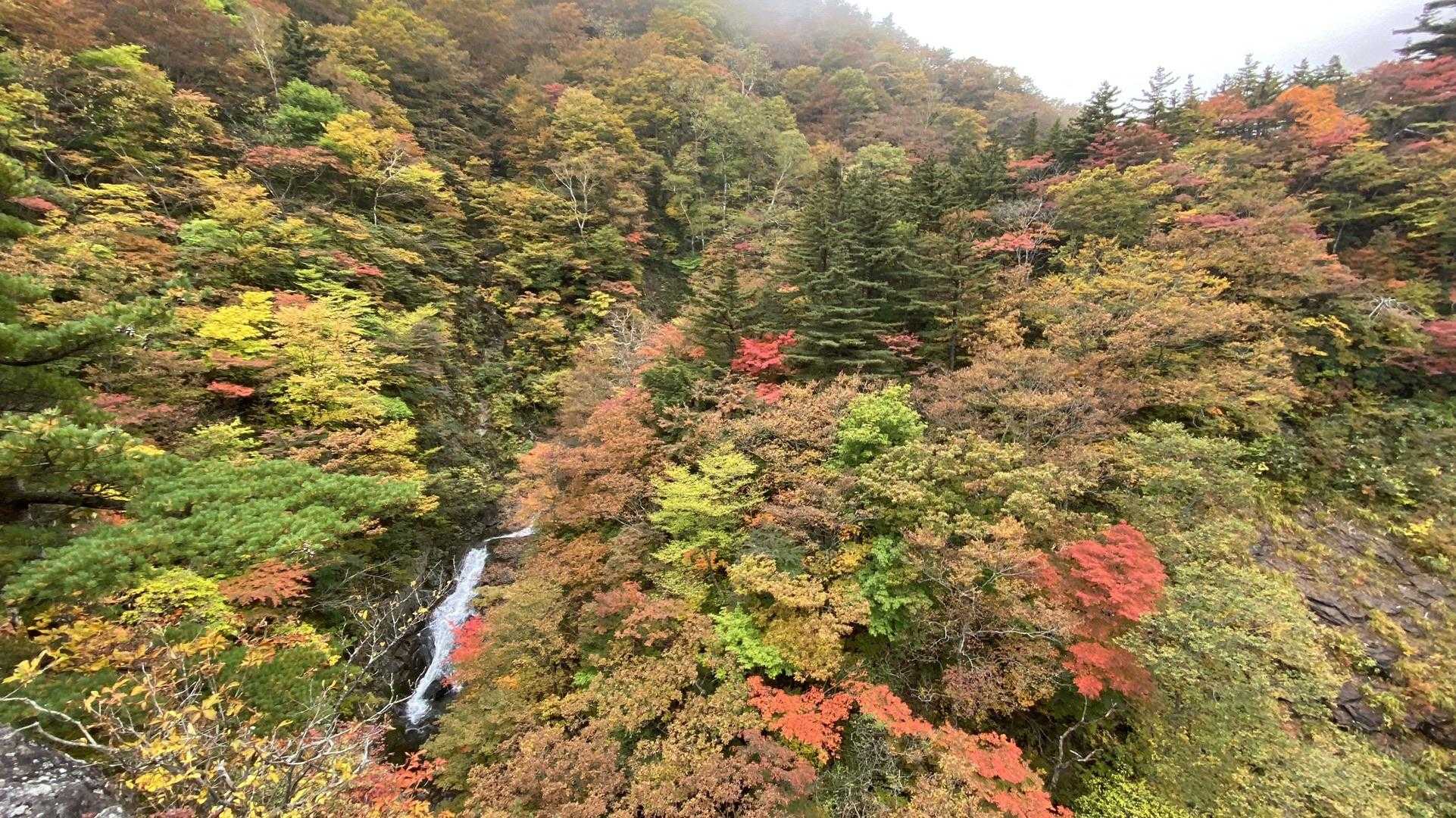 屏風岩からの絶景🍁