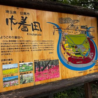巾着田説明板。