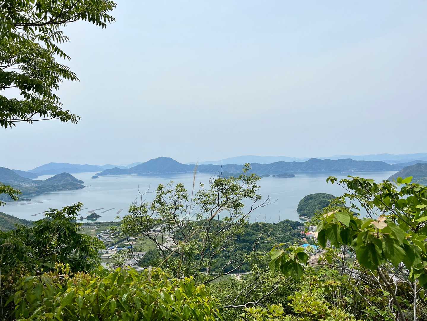 安神山 往復コースの写真