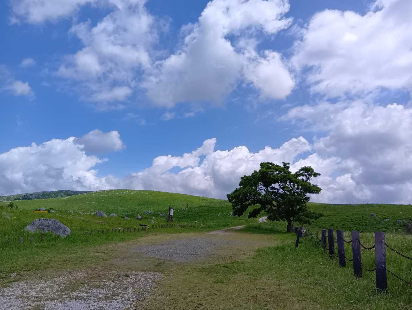 若竹山 周回コースの写真