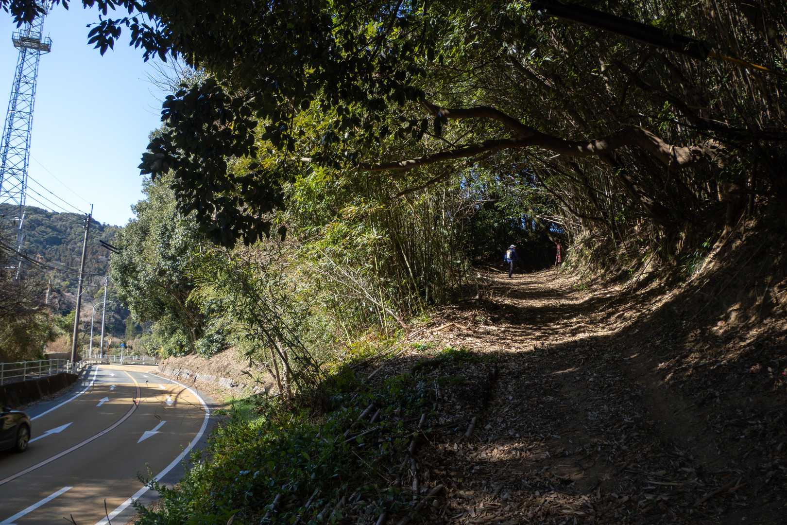 道路から分かれて登山道へ
