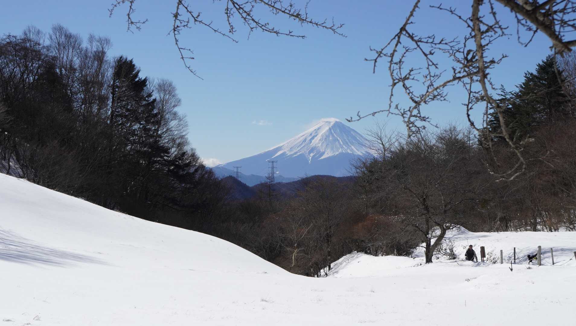 雪化粧し直した富士山
ナイス