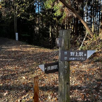 長瀞アルプス終了。