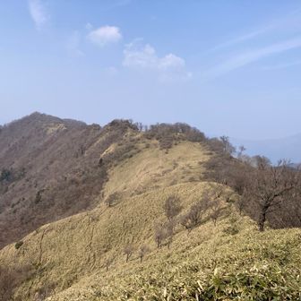 歩いてきた大森山方面