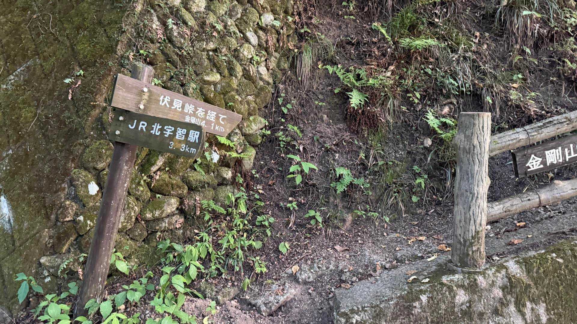 天ヶ滝新道登山口-伏見峠-金剛山葛木神社-金剛山 往復コースの写真