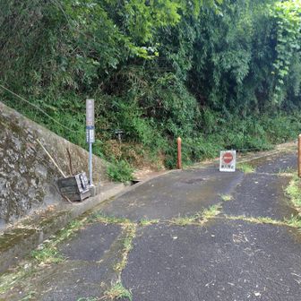 左の坂が階段になっています
最初はちょっと急