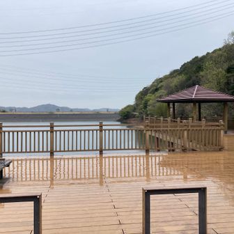 いつものランニングコースの不動の池