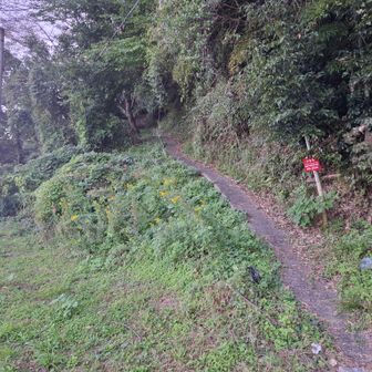 無事下山、充実感ありすぎ。