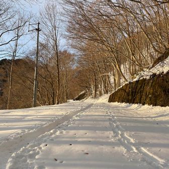 今年初の雪山登山だ〜