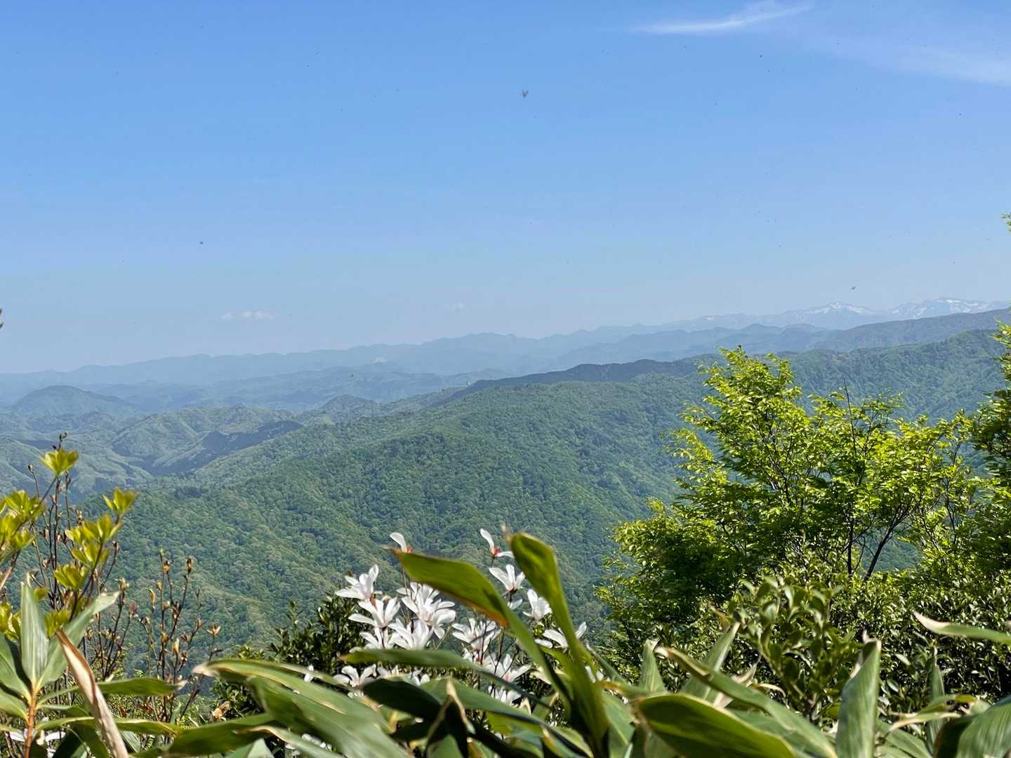 山頂ではなかった😅