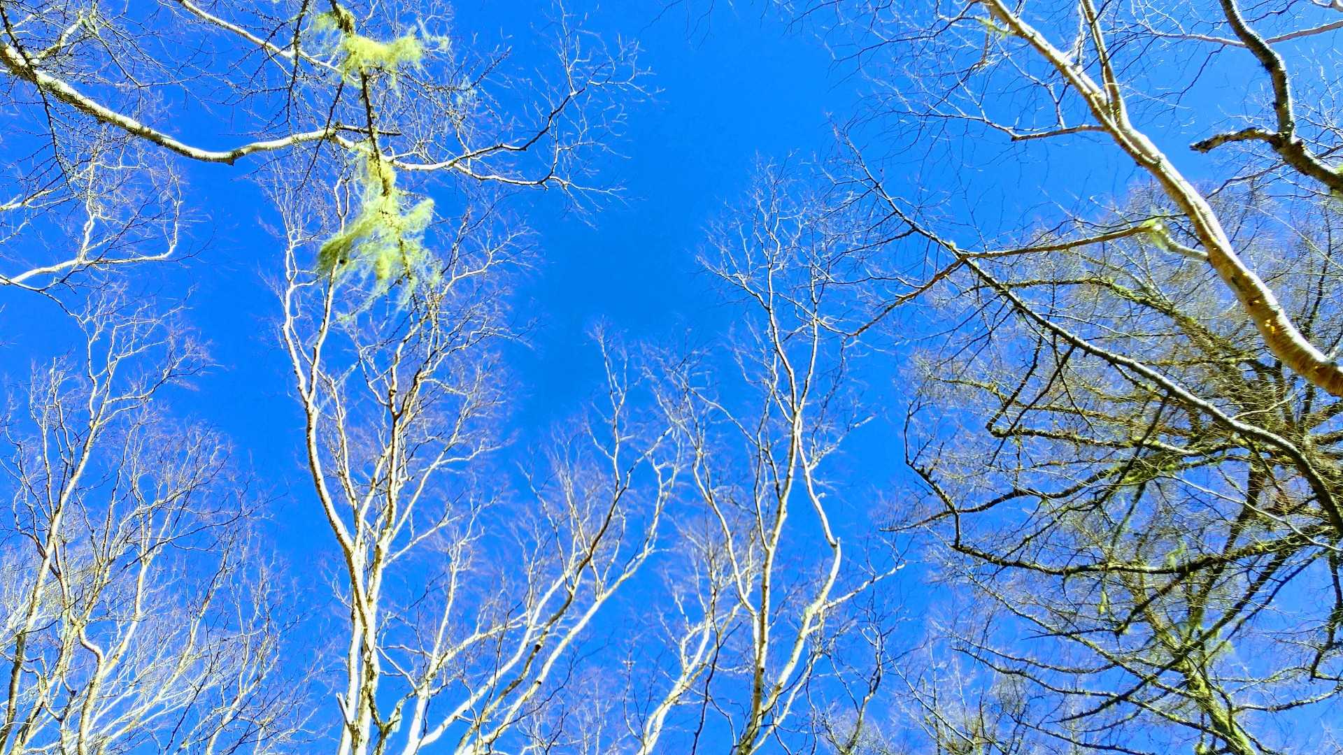 ♪生まれた所や、皮膚や目の色で、一体この僕の何が分かるというのだろう。
青空素晴らしすぎて、ブルーハーツの"青空"歌う。