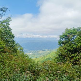 スマホだとこんな感じ