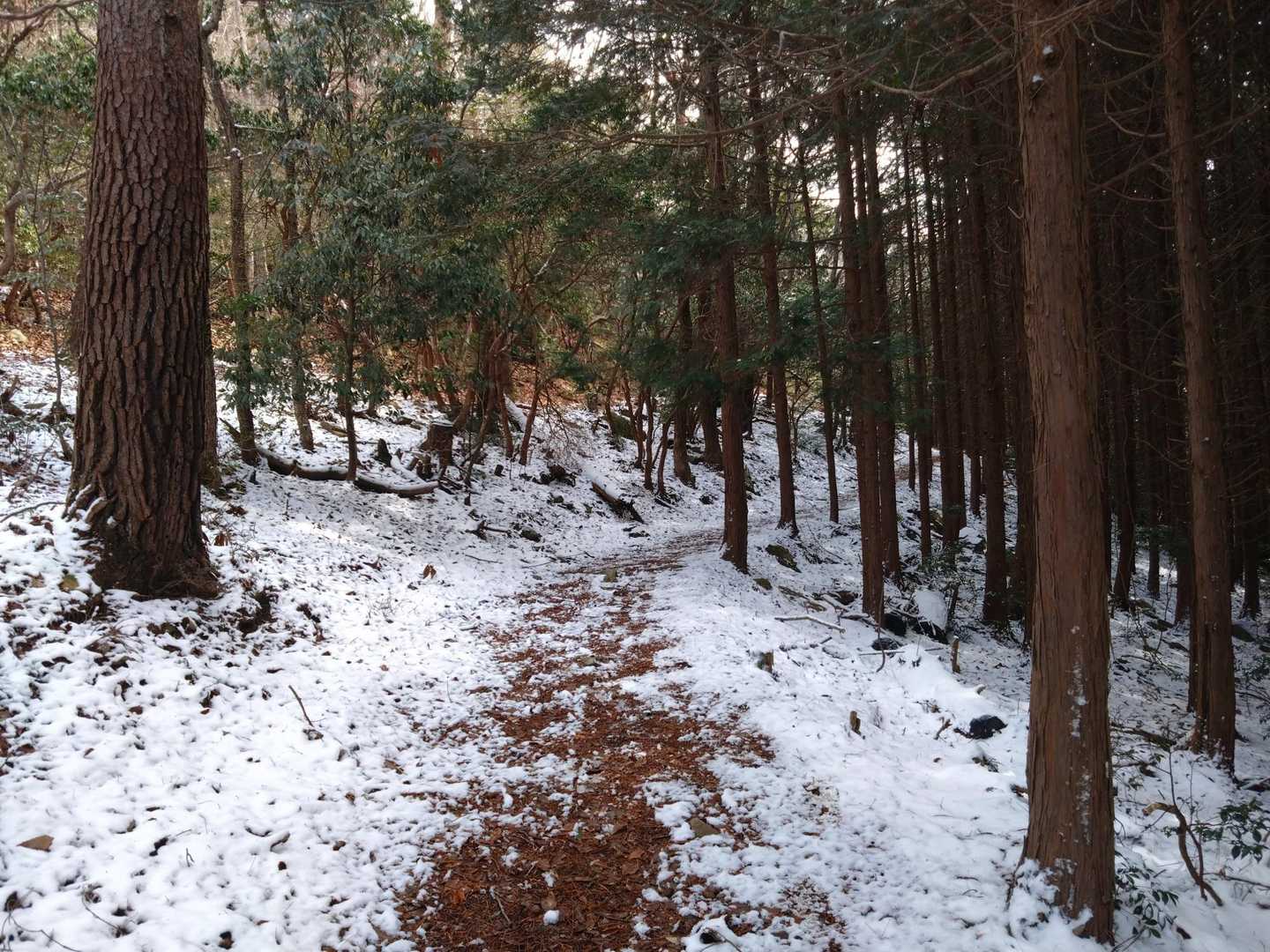 あら雪が残ってる