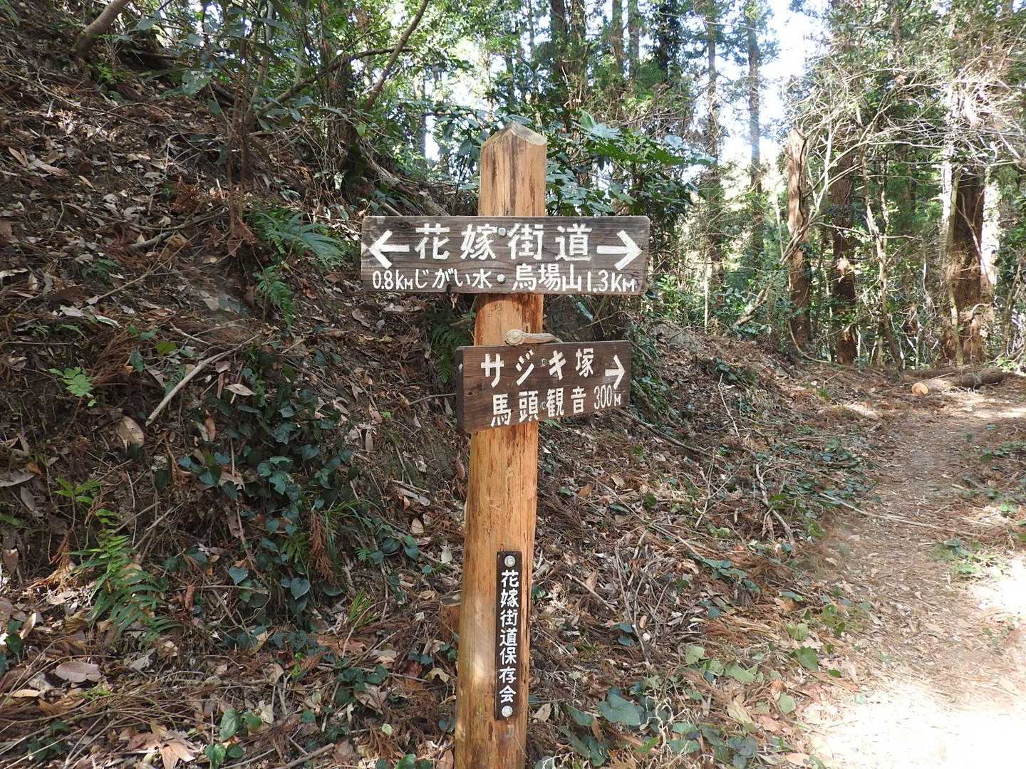 馬頭観音の名前に惹かれ🎶