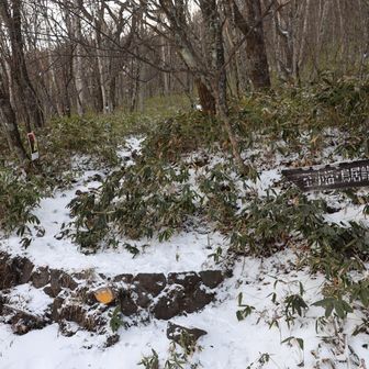 取り付きの登山口