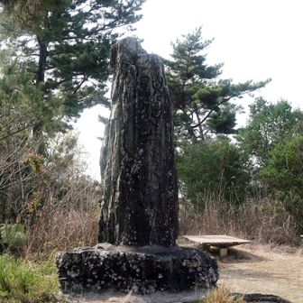顕如上人桌錫所の碑
天文19(1550)年、弥勒寺山に紀州御坊が移転してきた
この場所に紀州御坊が移転した経緯については詳しくはわからないが、当時精強をもって全国に知られていた「雑賀衆」の中には本願寺を支持する者が多かったと言われていることから、雑賀衆が自らの本拠地であった弥勒寺山に紀州御坊を招いたのかもしれない
しかし、従来は雑賀衆の大半が熱狂的な本願寺の信者であったとする言説が多かったが、最近の研究では他宗派の信者も多数いたと考えられており、単純に「雑賀衆 イコール 本願寺門徒」との図式では捉えられないとされる