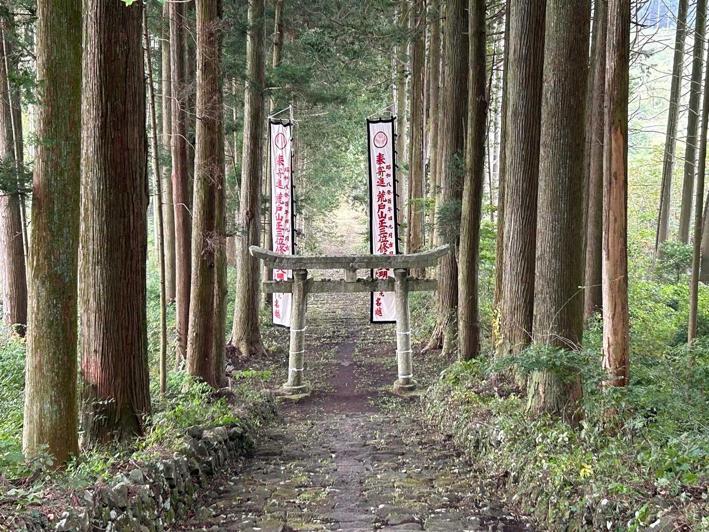 🌲⛩️🌲鳥居ズーム