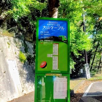 大山ケーブルバス停ただいま
