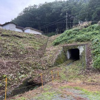西吾野駅手前のトンネルをくぐり、登山道へ