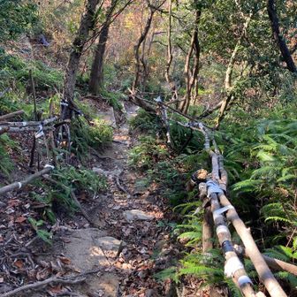 下山時、手作り手すりに助けられたぁ🙏感謝