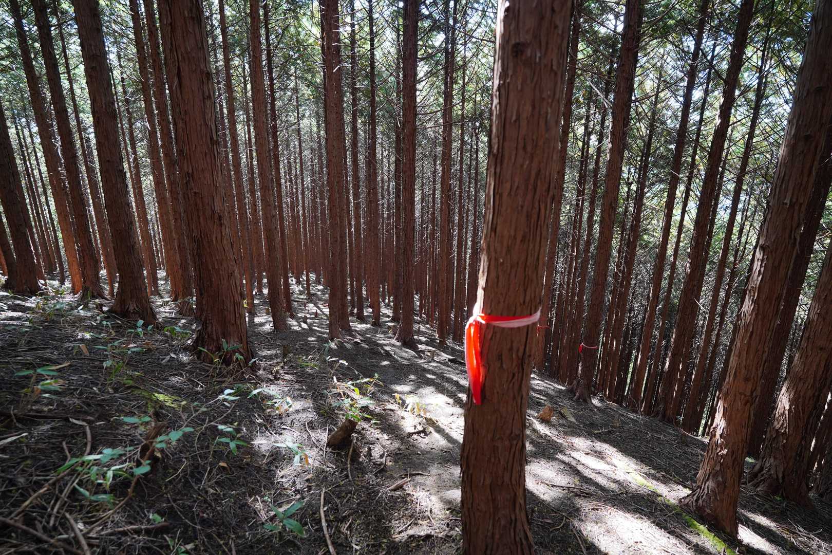 時計周りで下山