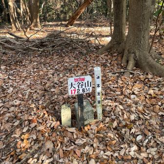 大谷山頂