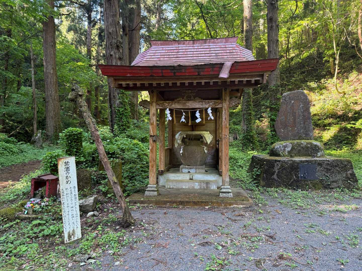 青龍寺登山口-金峯山-鎧ヶ峰 周回コースの写真