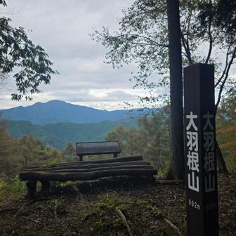 大羽根山（992m）山頂は眺望あり。