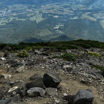倶知安方面を眺めつつ、激痛の絶える。この先は無理と判断