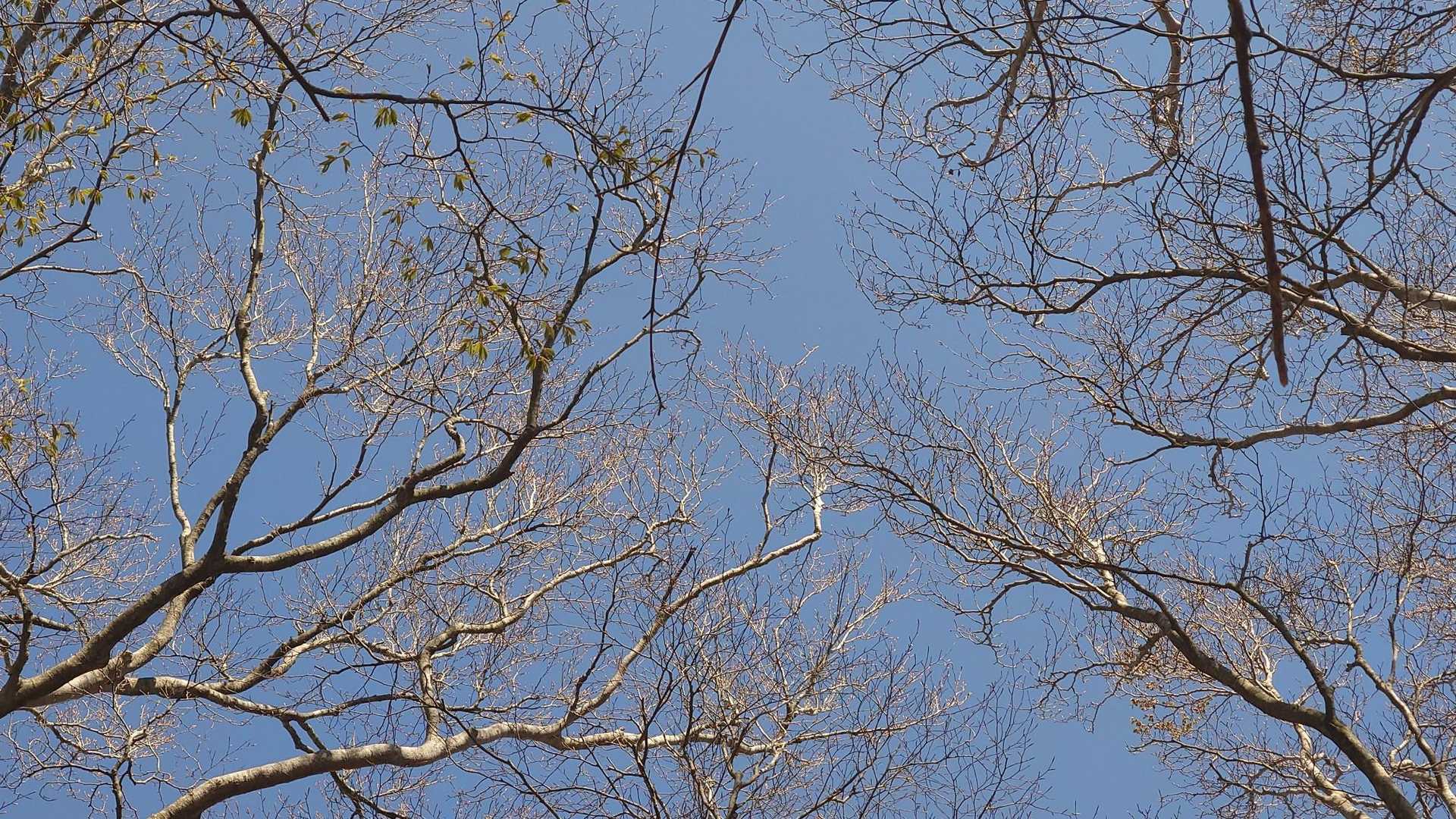 空は快晴！
