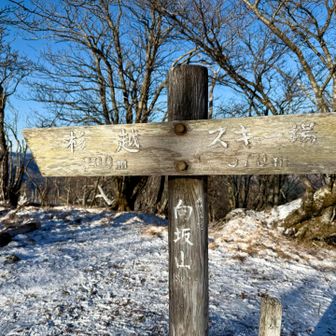 向坂山山頂！スキー場からは30分ぐらい
