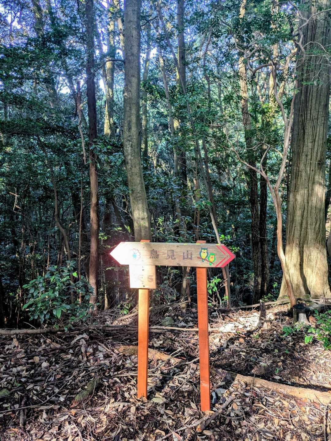 喜桜山-天王山コース登山口　 周回コースの写真