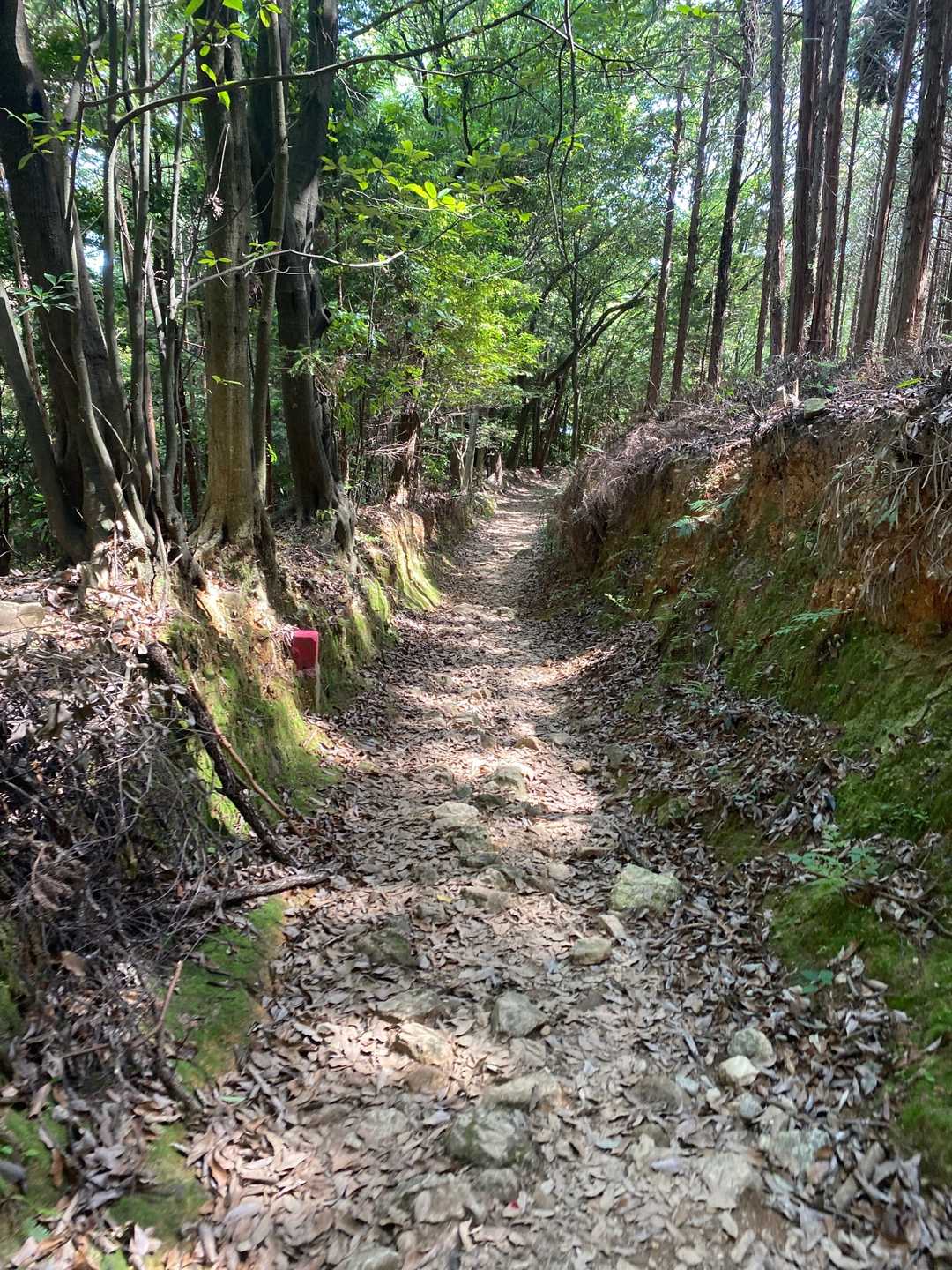 大人しく下山します。