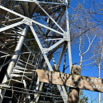 焼山山頂。
展望台あります。