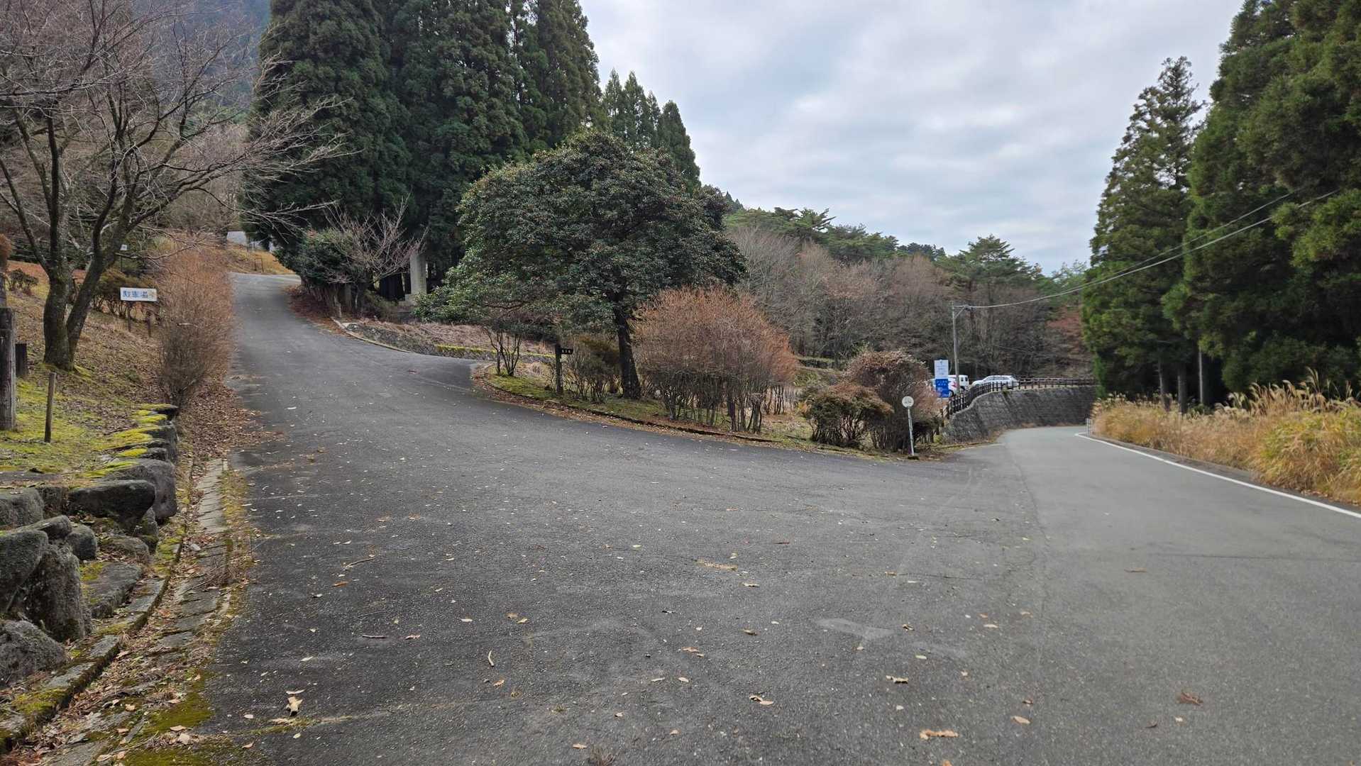 帰着
