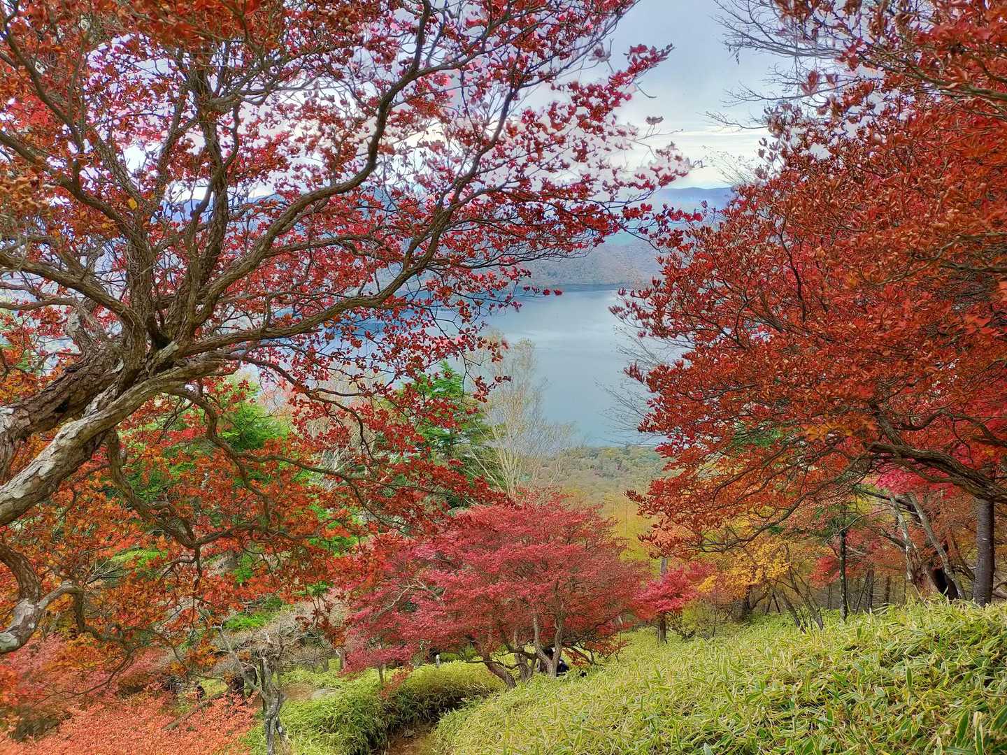 二荒山神社-男体山-志津峠-梵字飯場跡-三本松バス停 縦走コースの写真